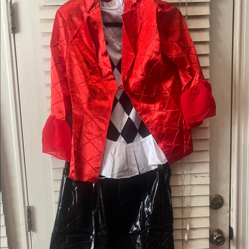 Women Clown Cosplay Costume size Large with blond wig and stockings included.